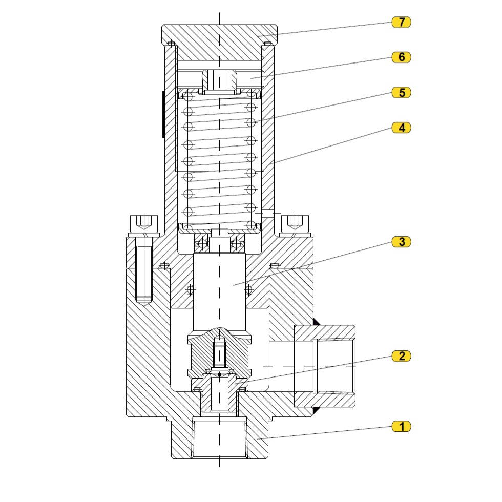 Общая схема  предохранительного сбросного клапана 219-VP 